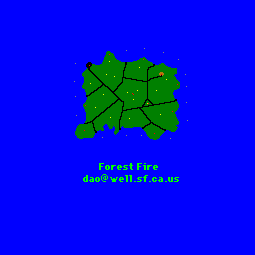 Forest Fire