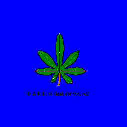 Mosh pit XVII (DARE)