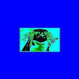 rockhopper's_picture