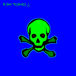 Skull &amp; Cross Bones